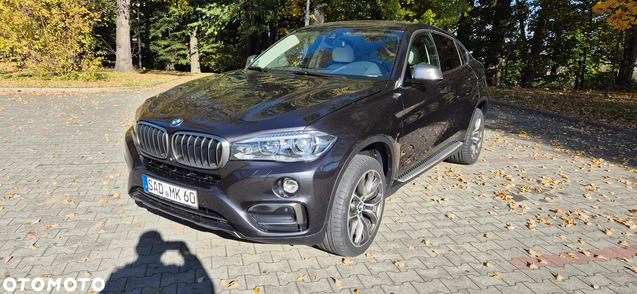 BMW X6 xDrive30d - 20