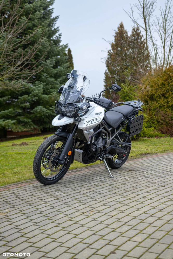 Triumph Tiger - 3