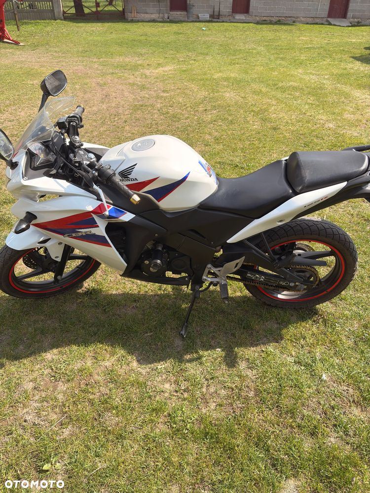 Honda CBR - 6
