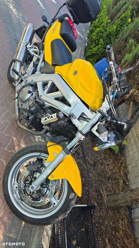 Suzuki SV - 6
