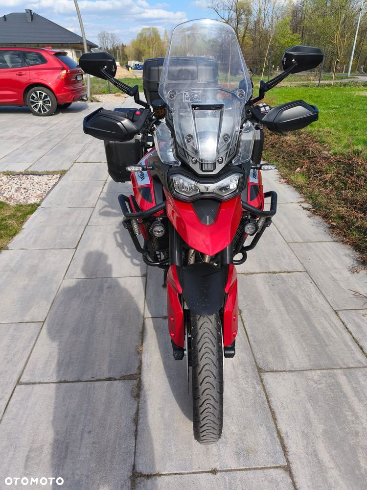 Triumph Tiger - 9