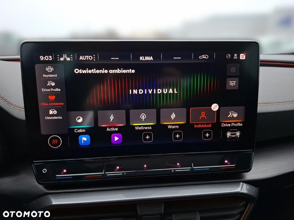 Cupra Formentor - 31