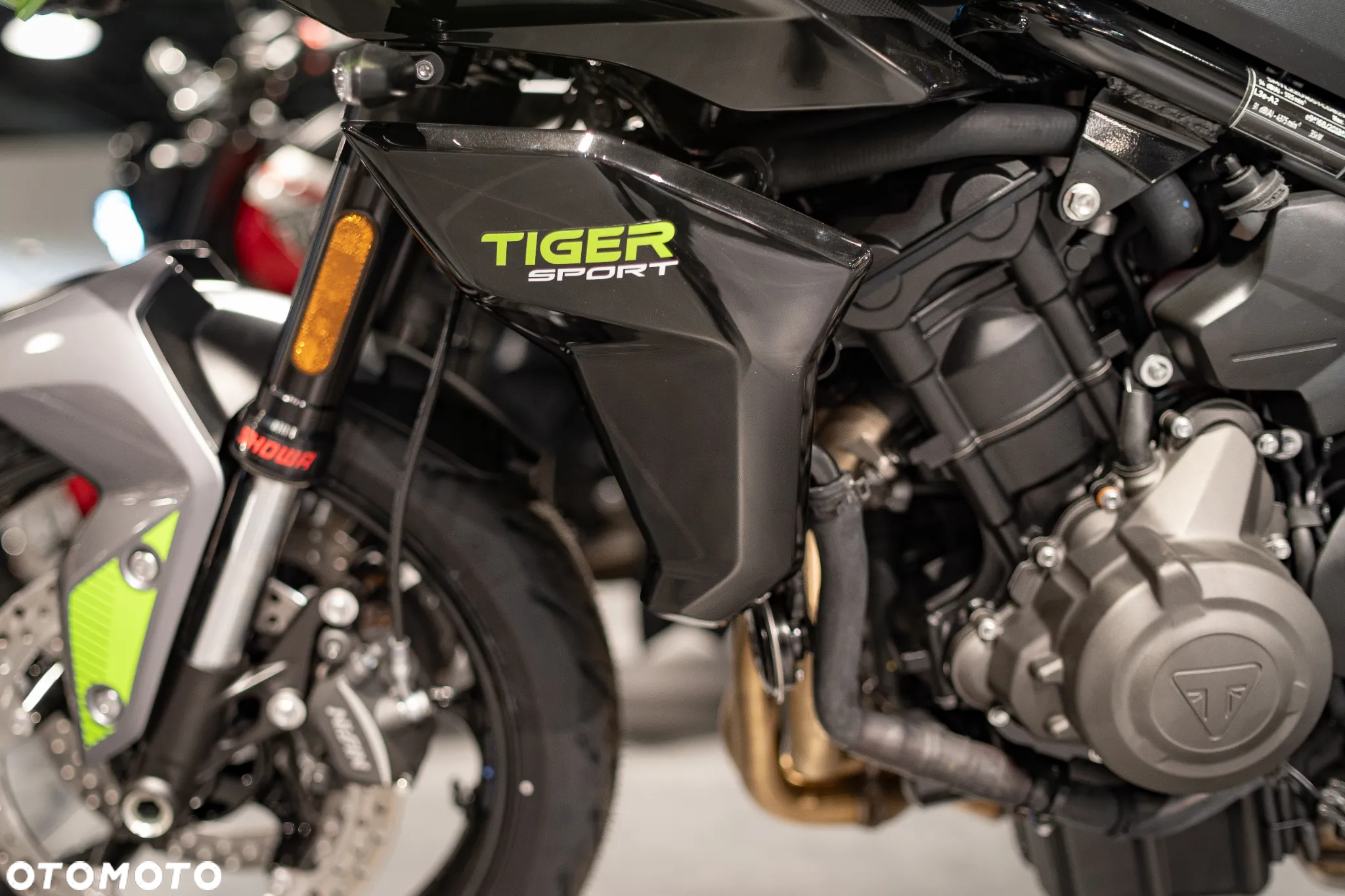 Triumph Tiger - 5
