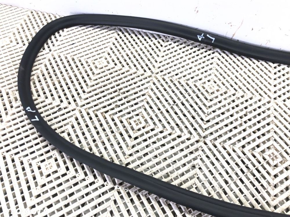 USZCZELKA DRZWI PRZÓD LEWA - 115.00 PLN - BMW 5 (G30, F90) 2016 - 2022 540 i Mild-Hybrid xDrive 245 - 2