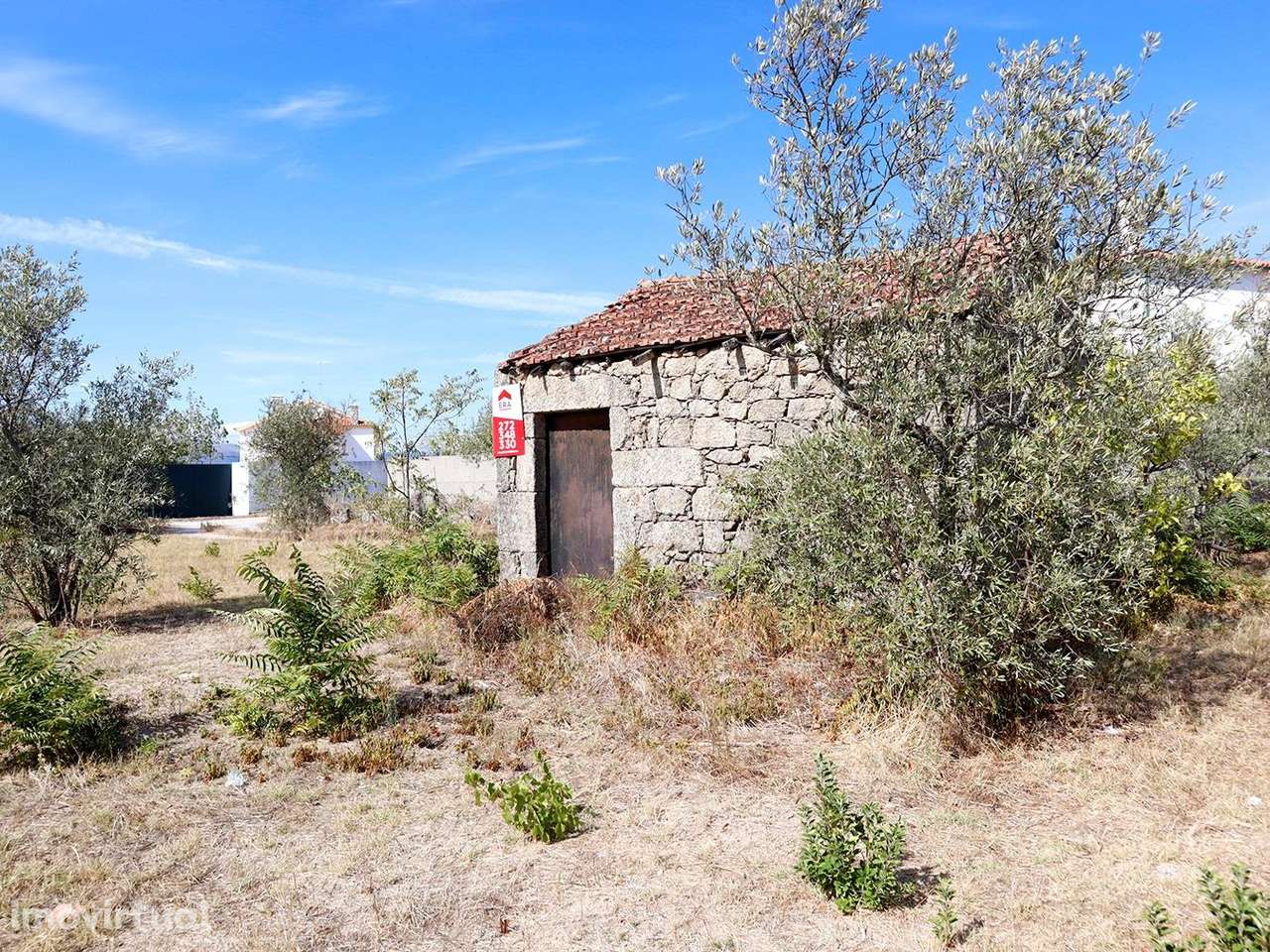 Terreno - Grande imagem: 4/12