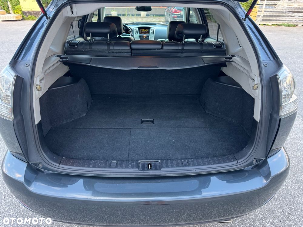 Lexus RX 300 Luxury - 21