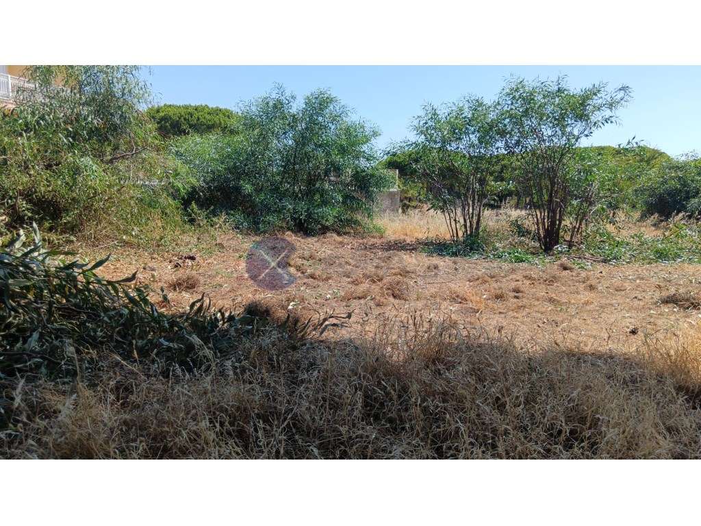 Lote de terreno para venda em Santa Eulália, a poucos minutos a pé ... - Vista 4