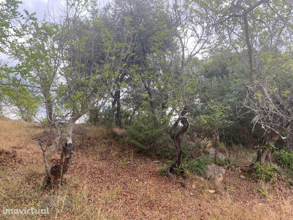 Lote de terreno rústico com a área total de 210m2, Salir, Algarve - Grande imagem: 2/14