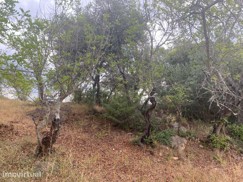 Lote de terreno rústico com a área total de 210m2, Salir, Algarve - Grande imagem: 2/14