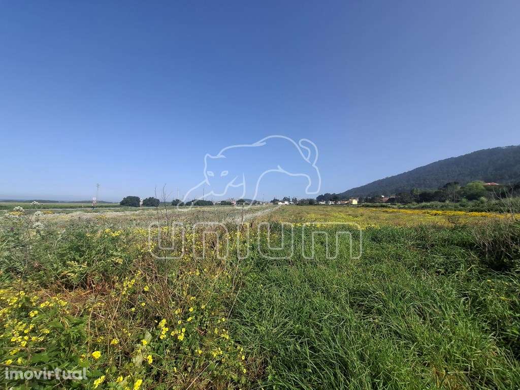 Terreno em Carreço - Grande imagem: 3/5