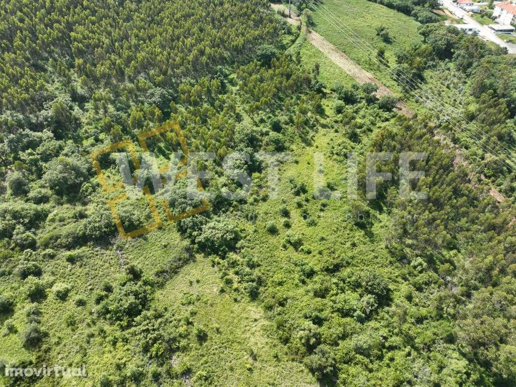 Terreno Rústico com 10937m2 - EXCLUSIVO WL - Ótima exposição solar ... - Grande imagem: 5/15