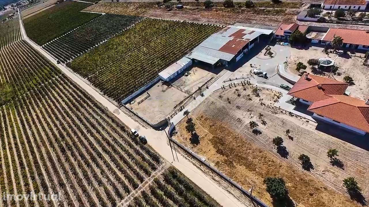 Terreno com 9000m2 com vinha e PIP aprovado! - Grande imagem: 4/17