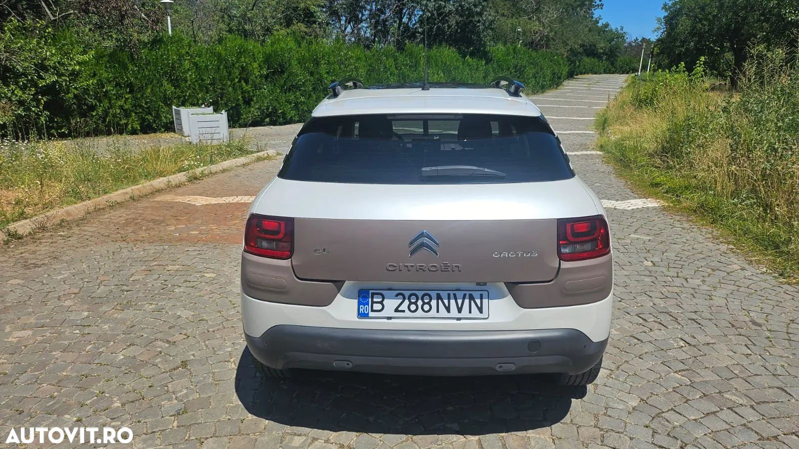 Citroën C4 Cactus PureTech 82 Shine Edition - 10