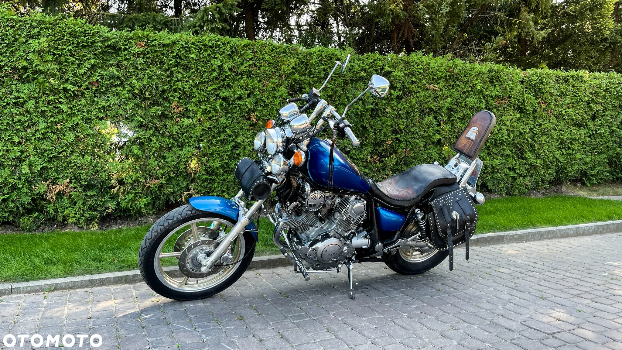 Yamaha Virago - 5