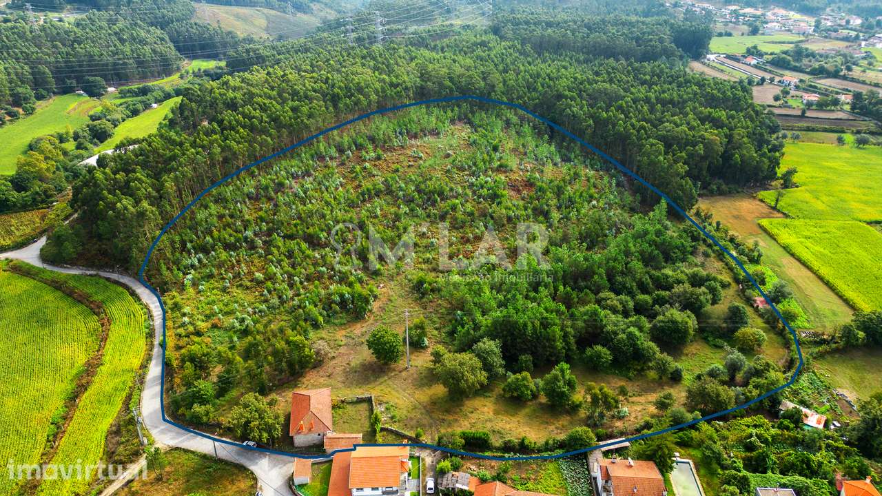 Quinta com moradia T3, em Pedralva - Braga - Grande imagem: 5/46