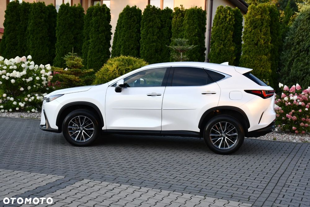 Lexus NX - 10