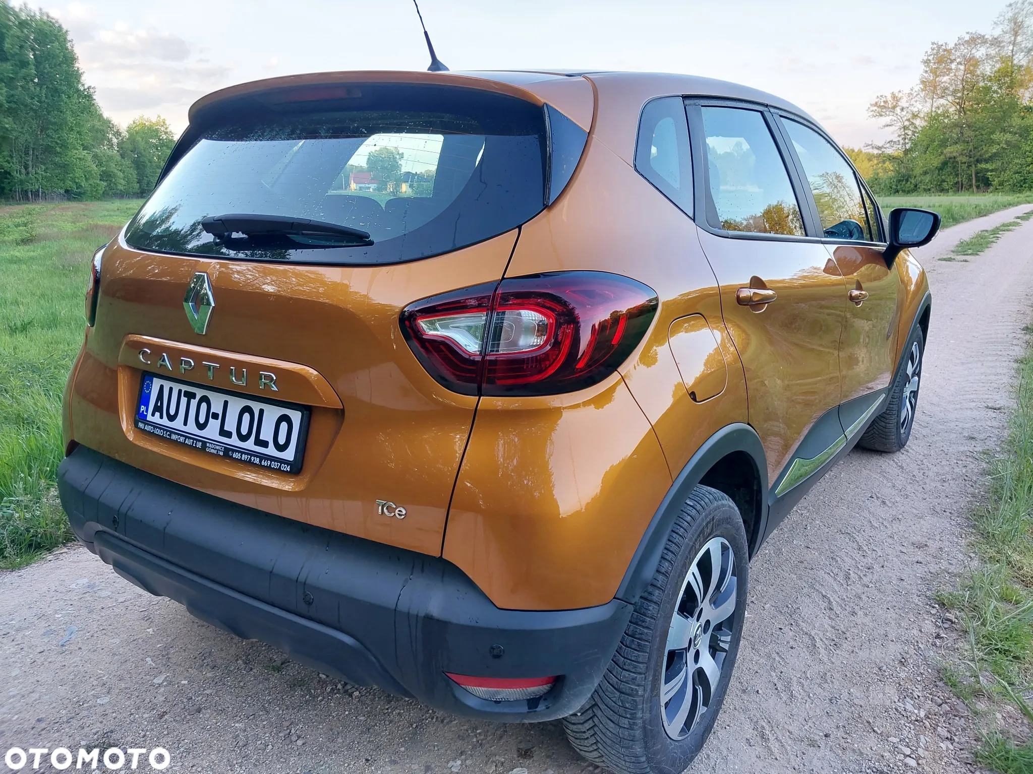 Renault Captur ENERGY TCe 120 Elysee - 7