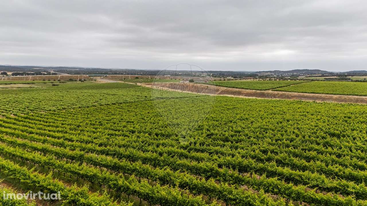 Herdade  para venda - Grande imagem: 3/12