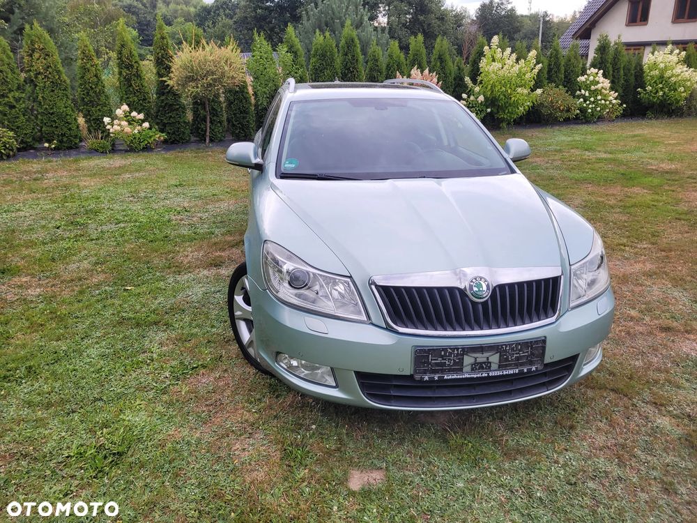 Skoda Octavia - 5