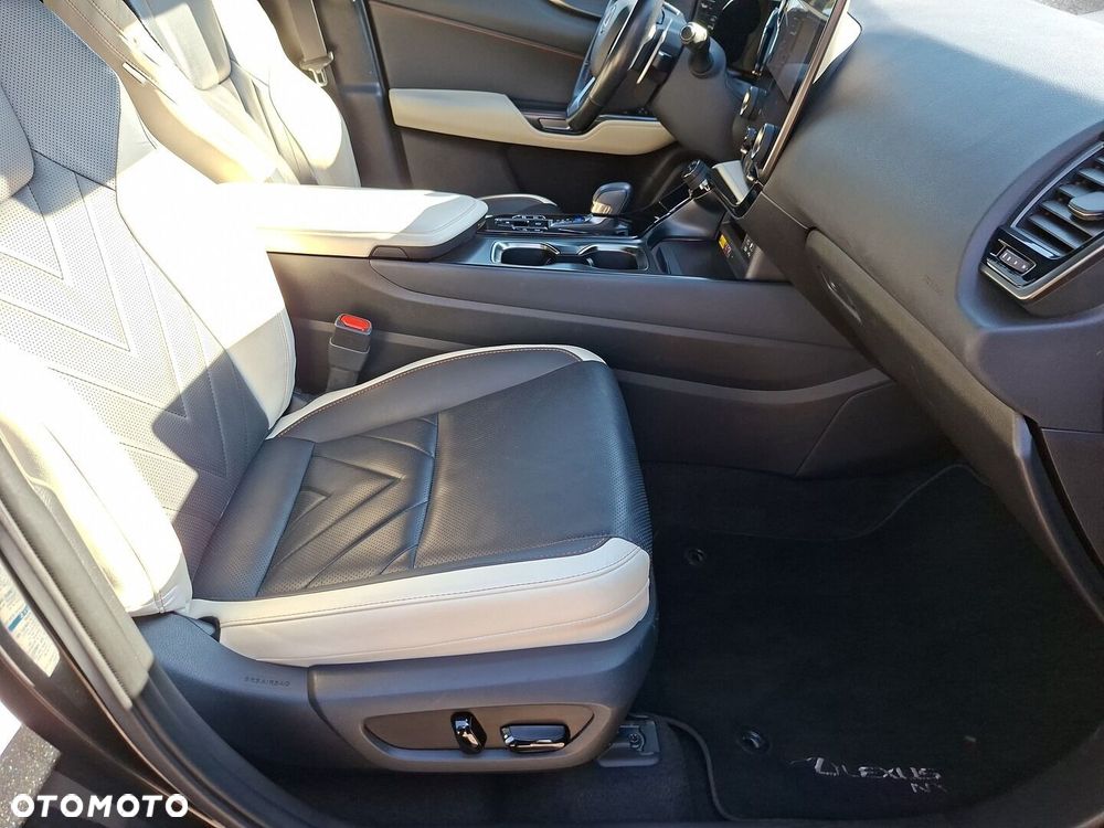 Lexus NX - 19