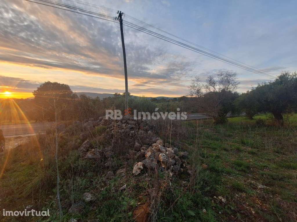 Terreno Urbano e Terreno Rústico - Outeiro Grande, Torres Novas - Grande imagem: 2/11