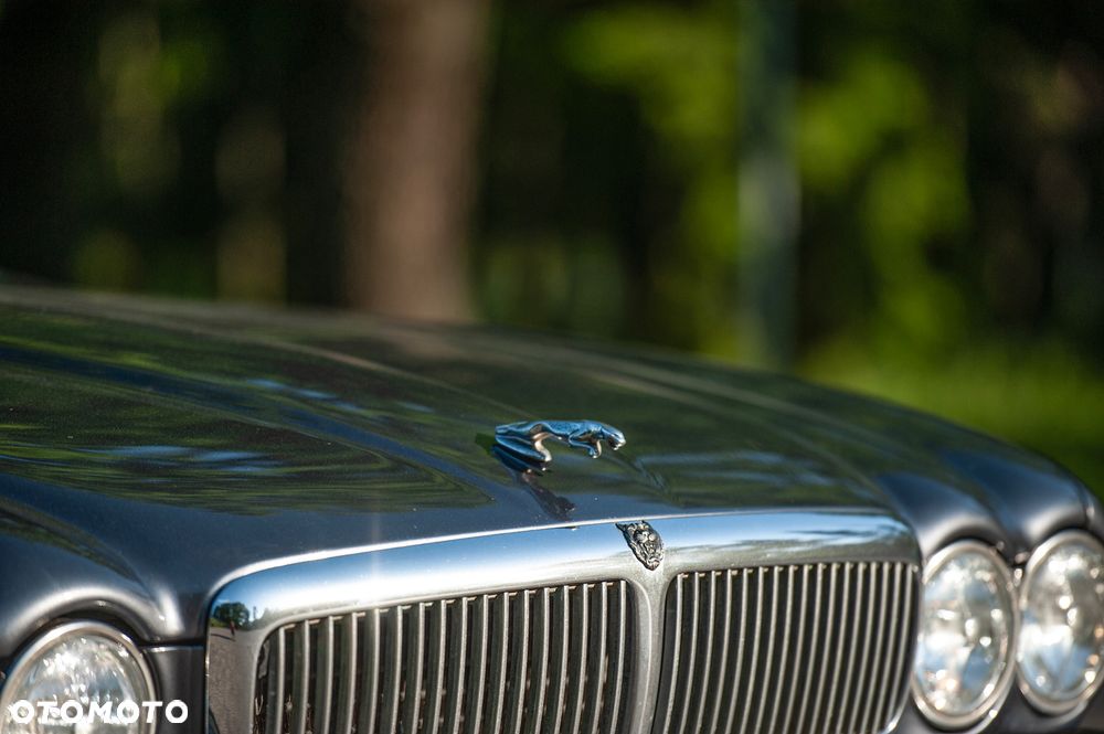 Jaguar XJ - 11