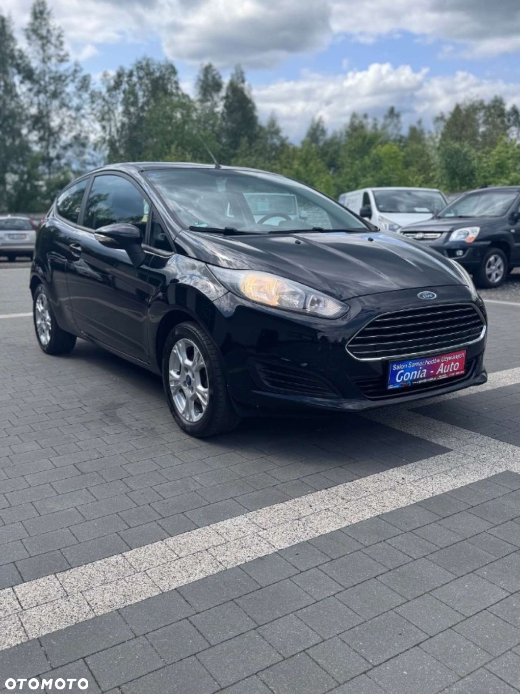 Ford Fiesta - 10