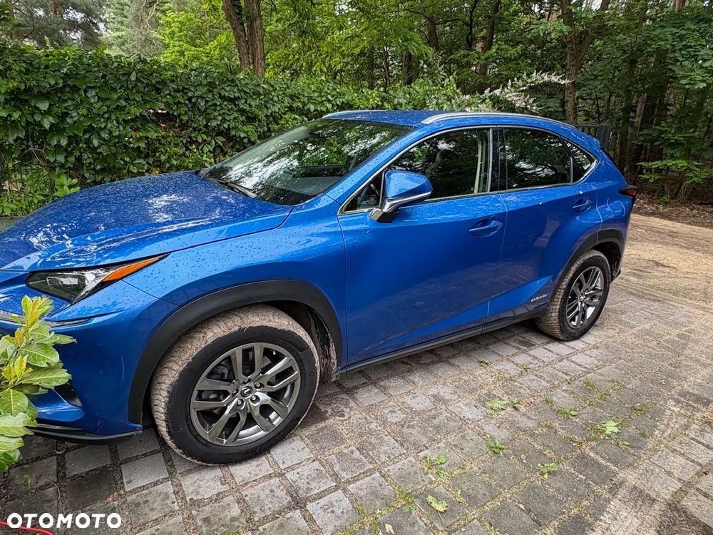 Lexus NX 300h Optimum AWD - 4