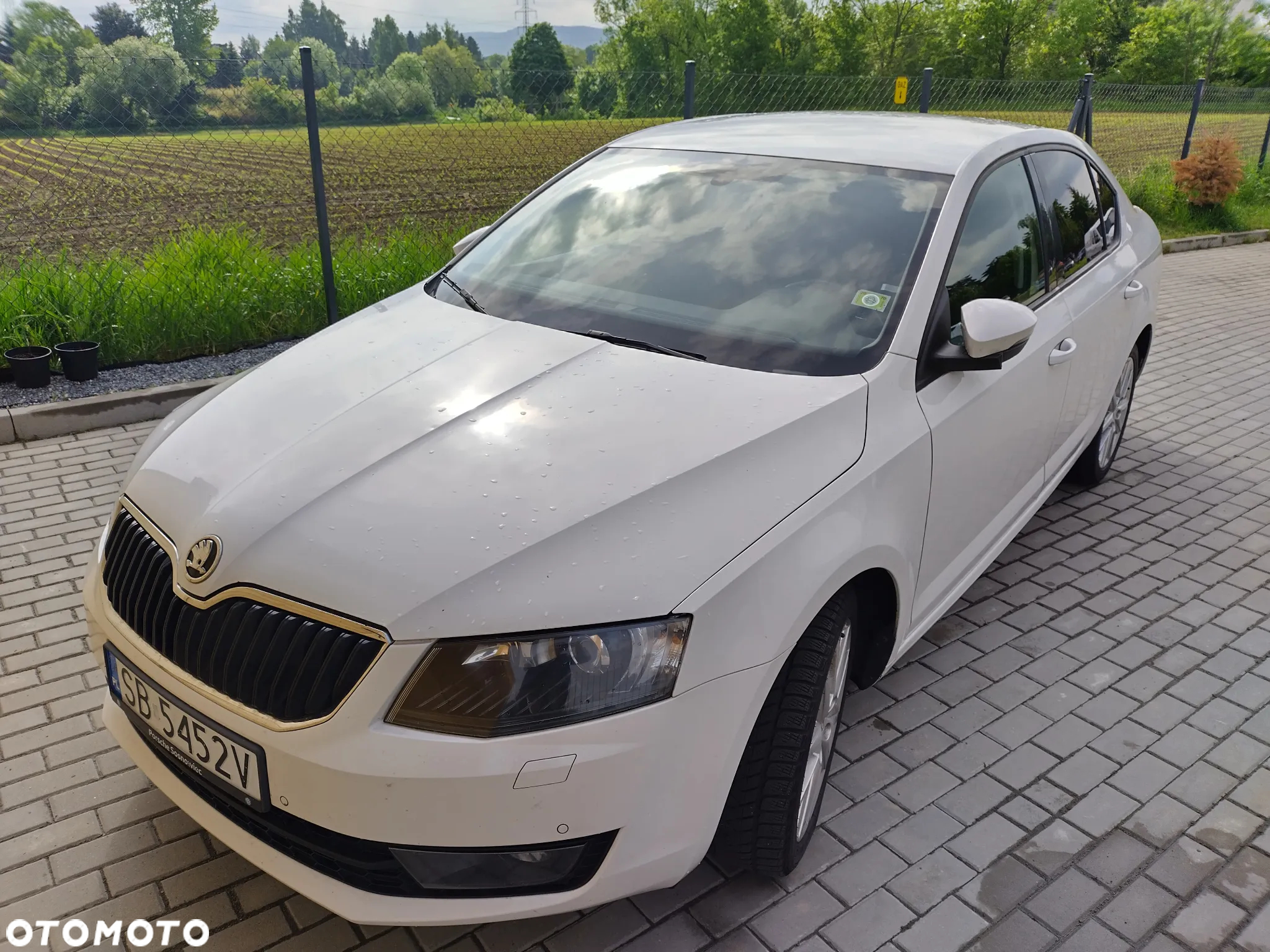 Skoda Octavia 1.2 TSI Joy - 5