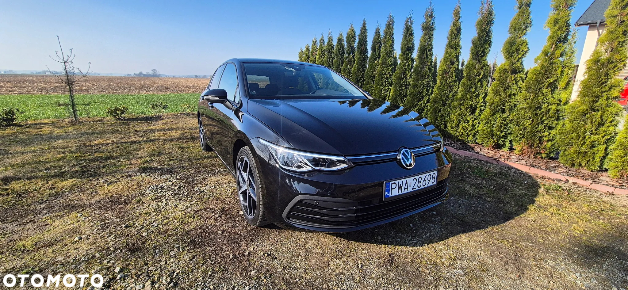 Volkswagen Golf - 7