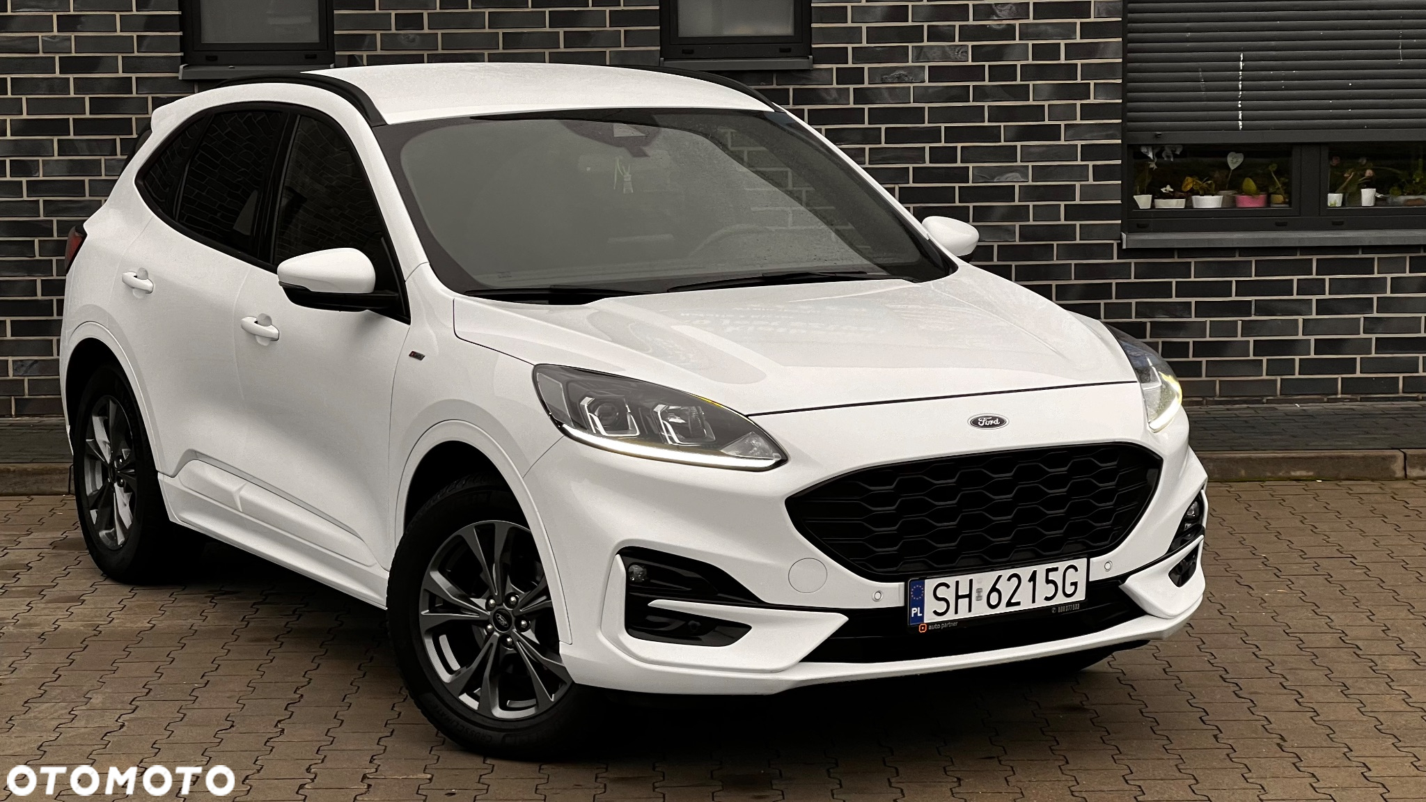 Ford Kuga 2.0 EcoBlue 4x4 ST-LINE - 9