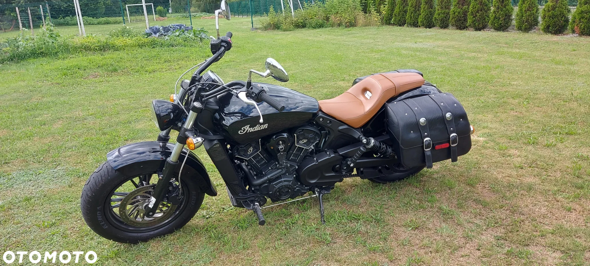 Indian Scout - 3