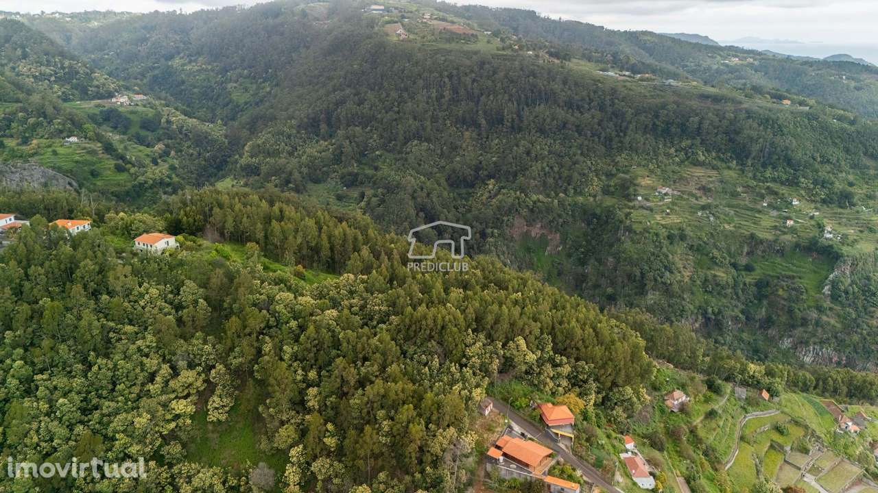 Terreno - Sta Cruz - Grande imagem: 4/14