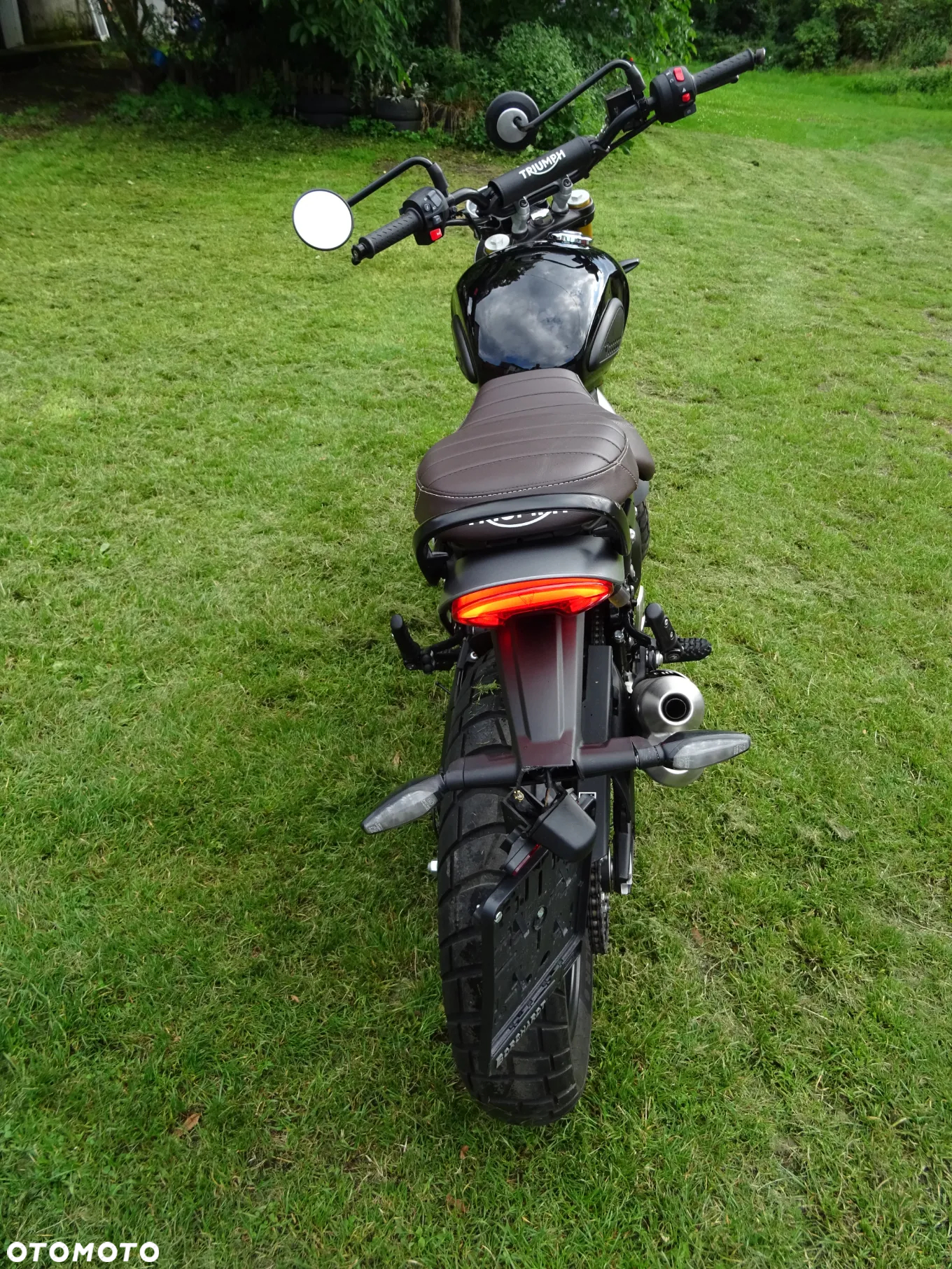 Triumph Scrambler - 6