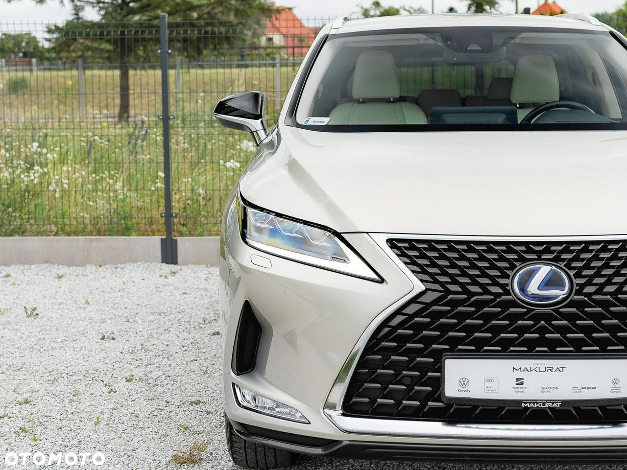 Lexus RX 450h F-Impression - 9