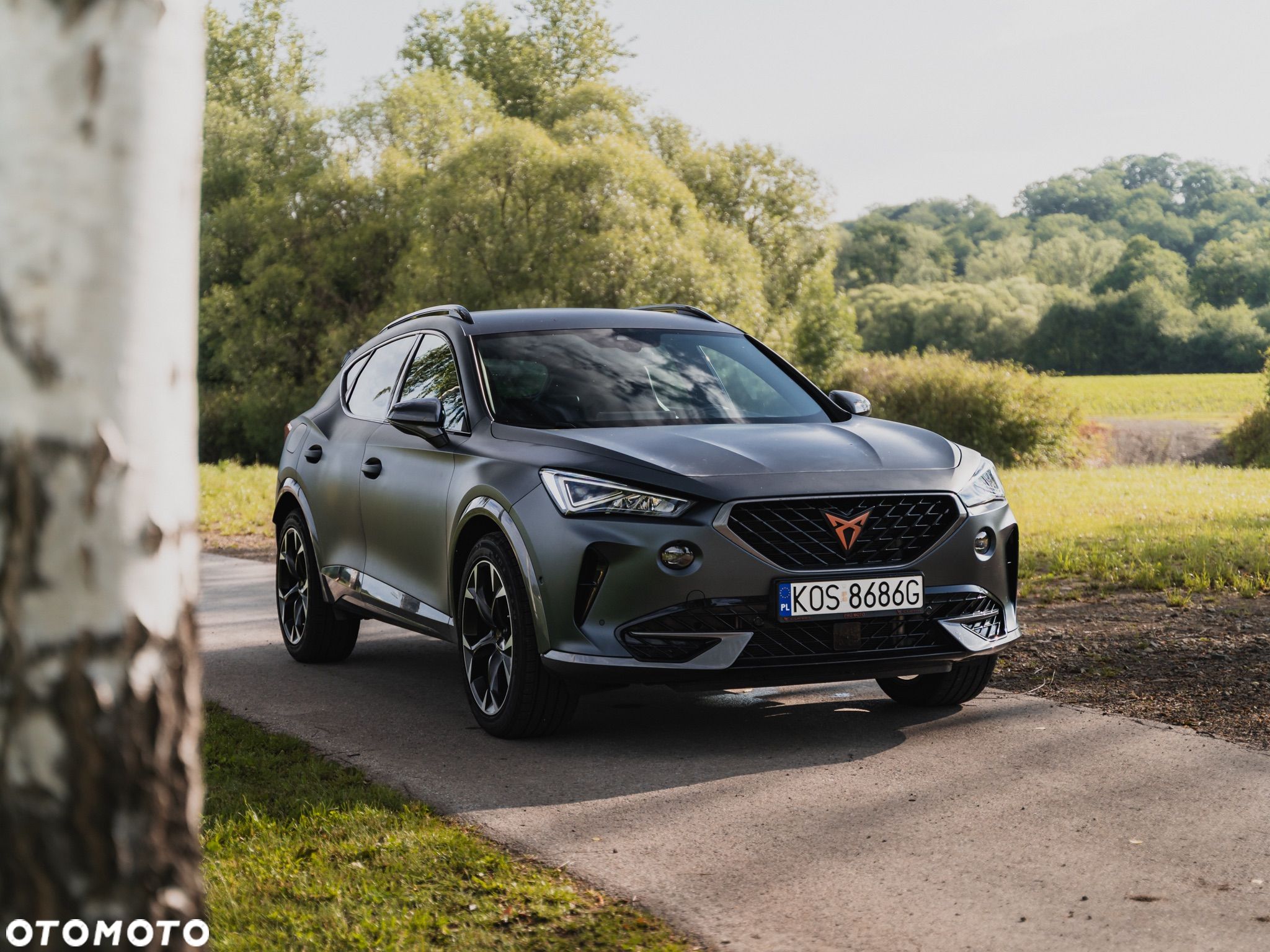 Cupra Formentor VZ 2.0 TSI 4Drive DSG - 1