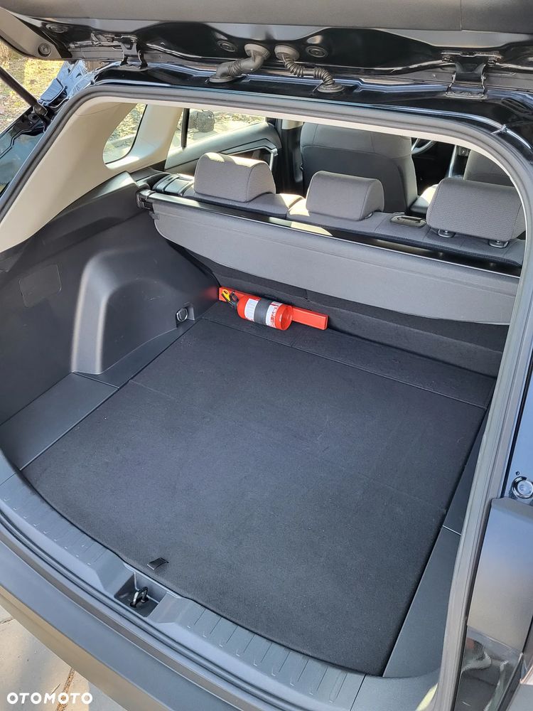 Toyota RAV4 2.5 Hybrid Active 4x2 - 18