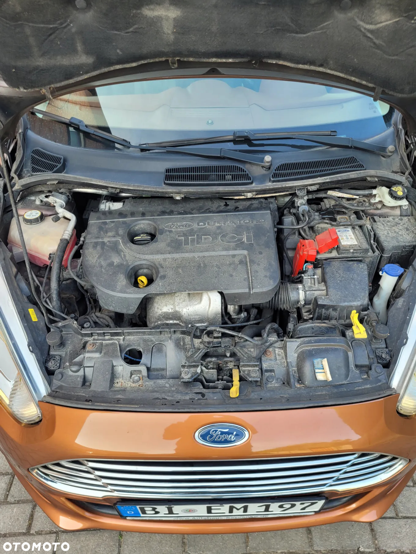 Ford Fiesta - 27