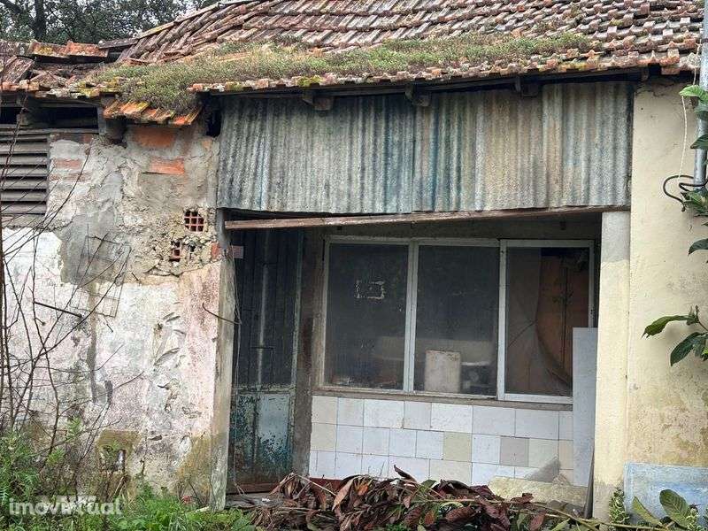 Moradia para recuperar em rio maior - Grande imagem: 3/7