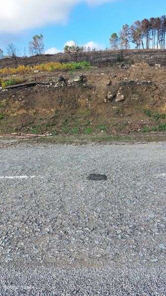 Terreno agricola - Grande imagem: 5/7