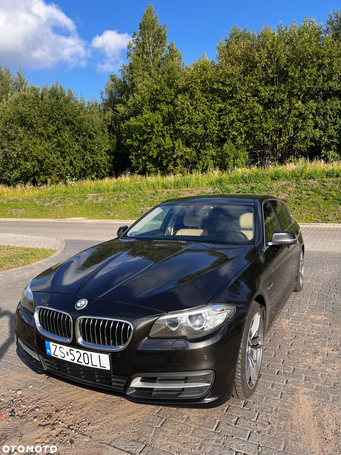 BMW Seria 5 520d Touring - 6