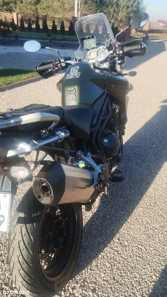 Triumph Tiger - 9