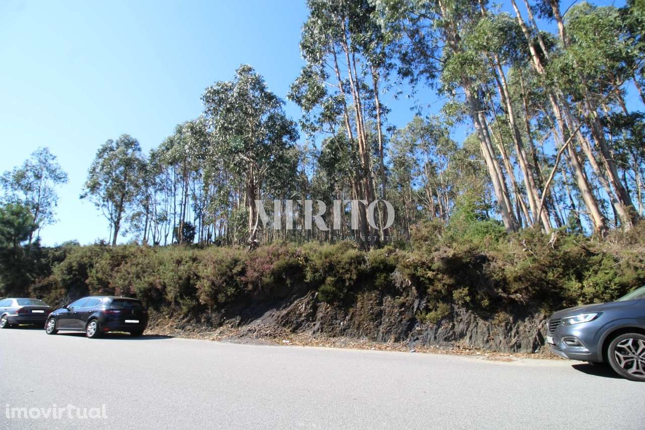 Terreno com 9.999M2, para construção de espaço de atividades económica - Grande imagem: 2/5