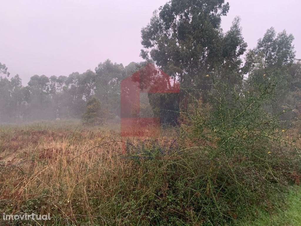 Terreno para construção em Covelas, Póvoa de Lanhoso - Grande imagem: 4/5