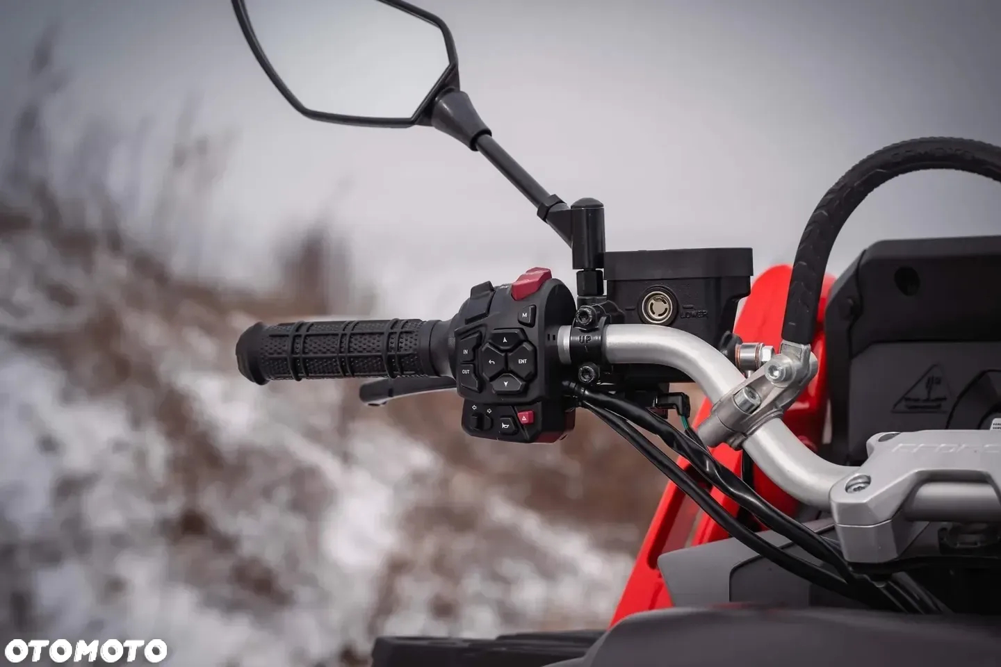 CFMoto CForce - 31