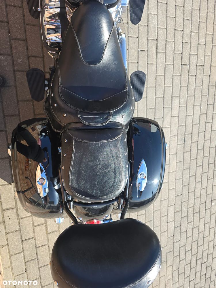 Indian Chieftain - 6