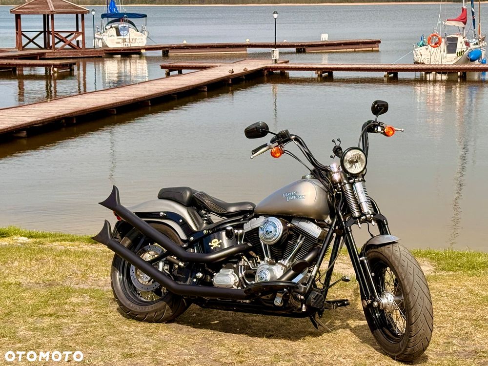 Harley-Davidson Softail Cross Bones - 14