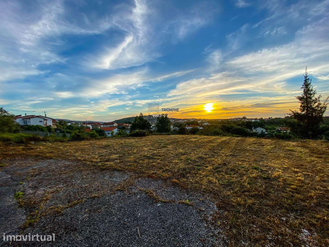 Terreno Rústico Viabilidade de Construção - Carvalhinho, Porto de Mós - Grande imagem: 3/20