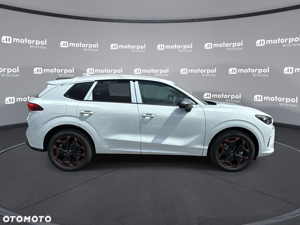 Cupra Terramar - 11