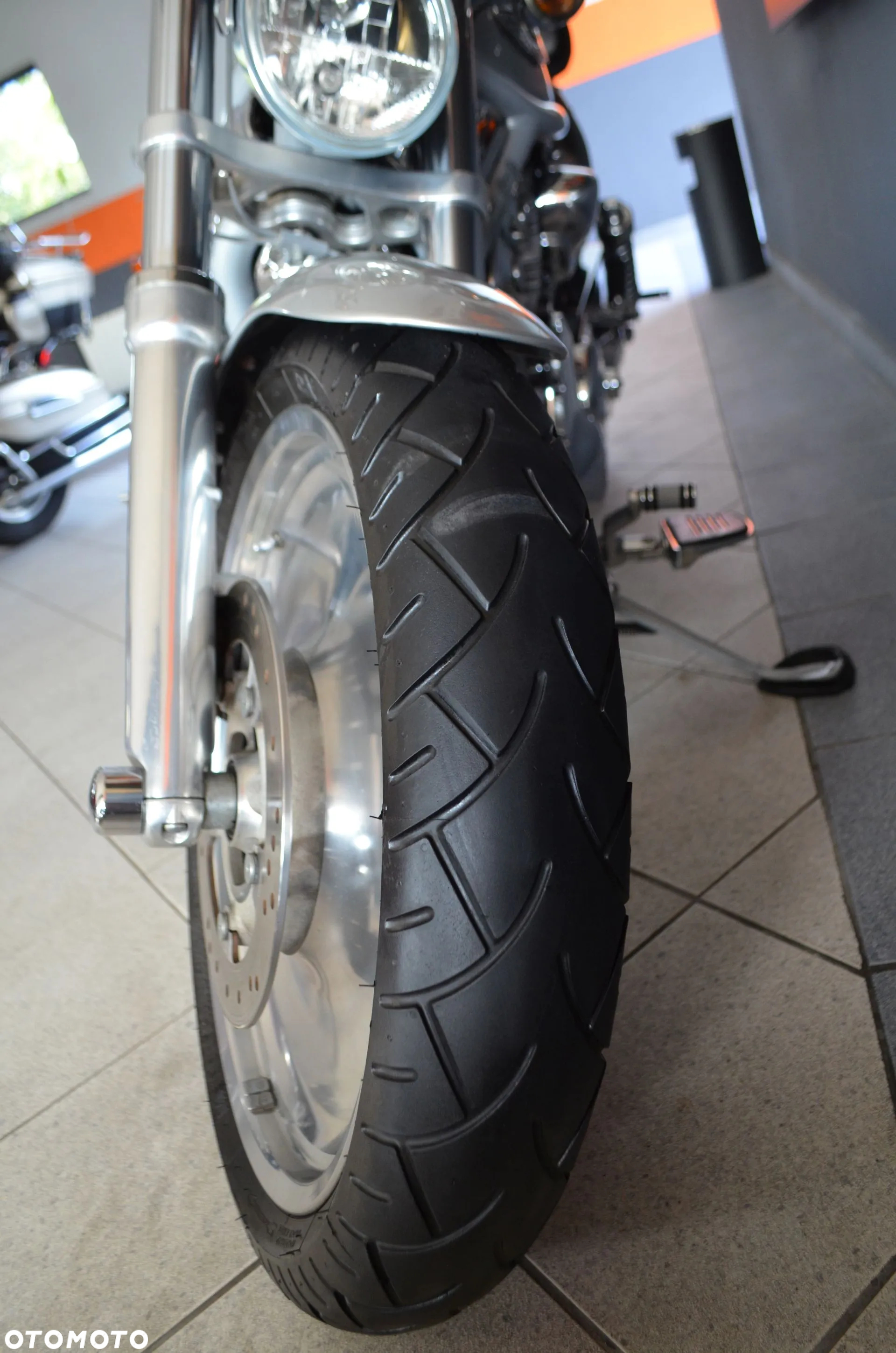 Harley-Davidson Softail V-Rod - 9